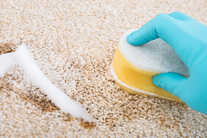 4 bước làm sạch thảm len bạn cần biết